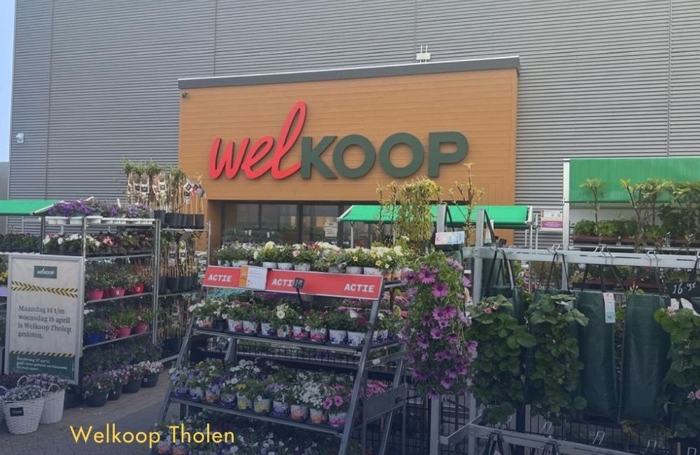 Welkoop Tholen Sparkworkx